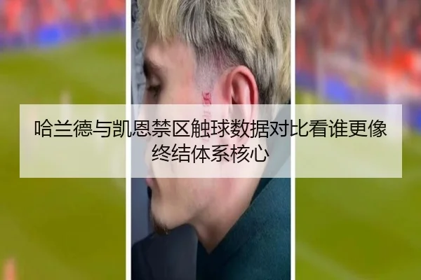 哈兰德与凯恩禁区触球数据对比看谁更像终结体系核心